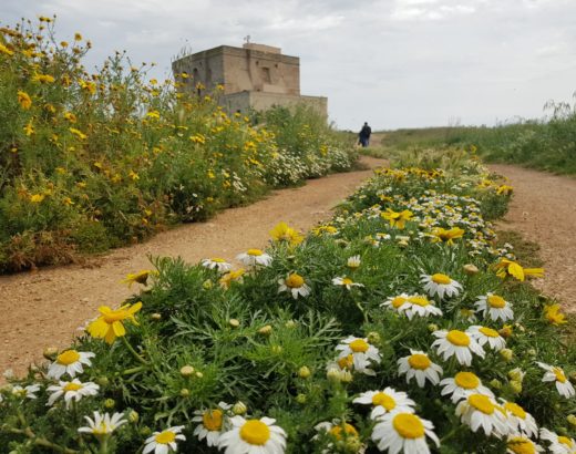 Alla Palma Azzurra - Riserva Torre Guaceto