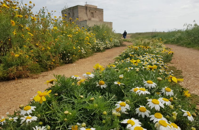 RISERVA DI TORRE GUACETO: UNO SCRIGNO DI TESORI DA SCOPRIRE