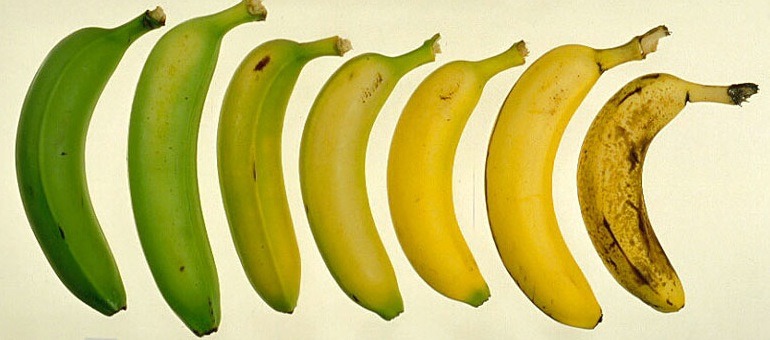 “Banane: verdi, gialle o marroni?”. il dott. mustich ci svela tutto!